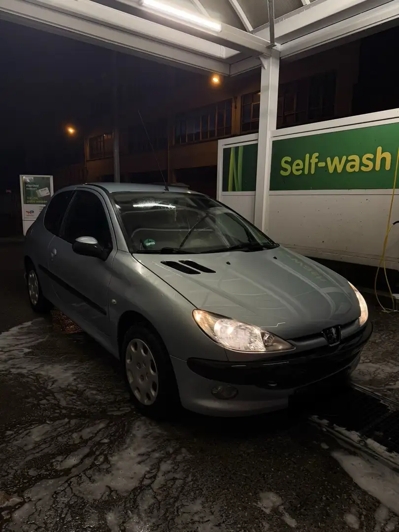 Peugeot 206 1.1 TU1JP (60 ch) - 2
