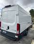 Iveco Daily Bianco - thumbnail 7
