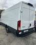 Iveco Daily Bianco - thumbnail 6