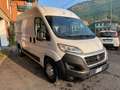 Fiat Ducato 35 2.3 MJT 130CV PM-TM Furgone Maxi Blanc - thumbnail 5