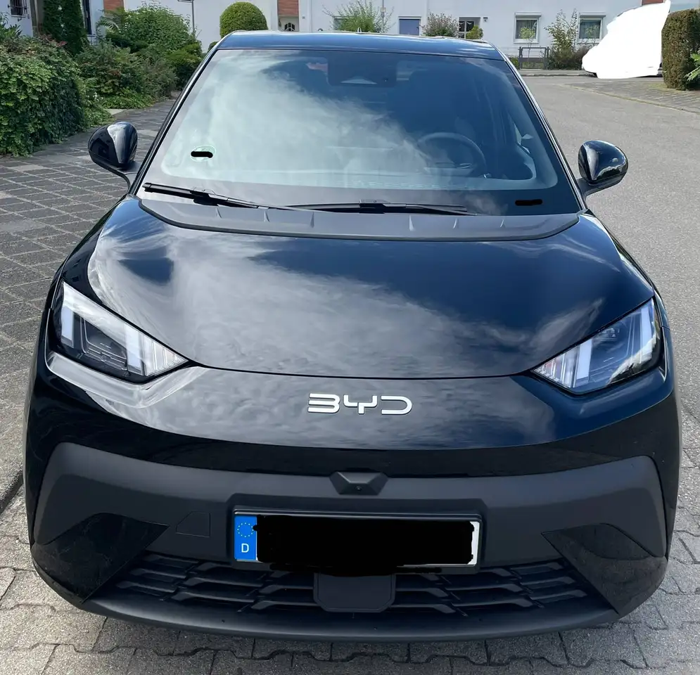 BYD Dolphin Surf