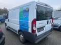Fiat Ducato Kasten 30 115 L1H1 RS: 3000 mm Weiß - thumbnail 2