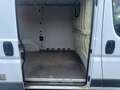 Fiat Ducato Kasten 30 115 L1H1 RS: 3000 mm Weiß - thumbnail 9