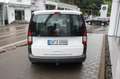 Volkswagen Caddy Kombi 2.0 TDI Navi,GRA,AHK,SHZ,Klima Weiß - thumbnail 7