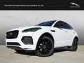 Jaguar E-Pace D165 AWD R-Dynamic SE Blanc - thumbnail 1