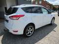 Ford Kuga 2.0 TDCi 4x4 Individual Blanc - thumbnail 4