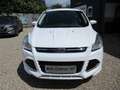 Ford Kuga 2.0 TDCi 4x4 Individual Blanc - thumbnail 2