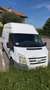Ford Transit Furgone Bianco - thumbnail 5