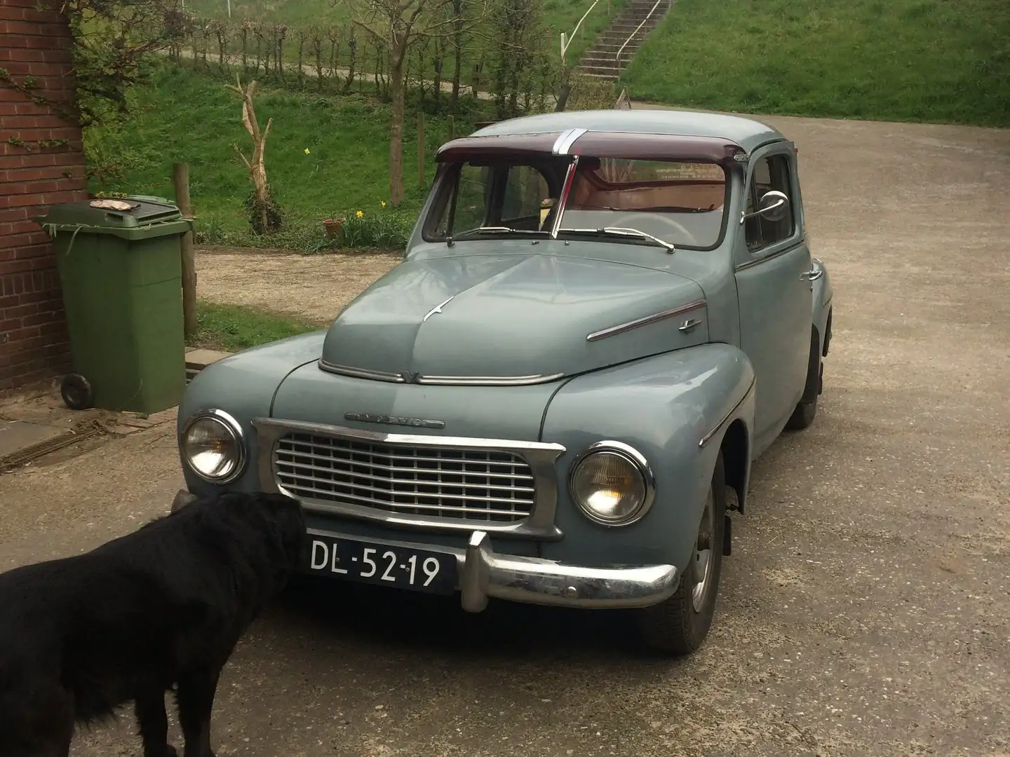 Volvo PV 444-03 K-serie Сірий - 2