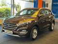 Hyundai TUCSON *KAMERA*TEMPO*NAVI*SHZ*KLIMA*LED* Marrone - thumbnail 3