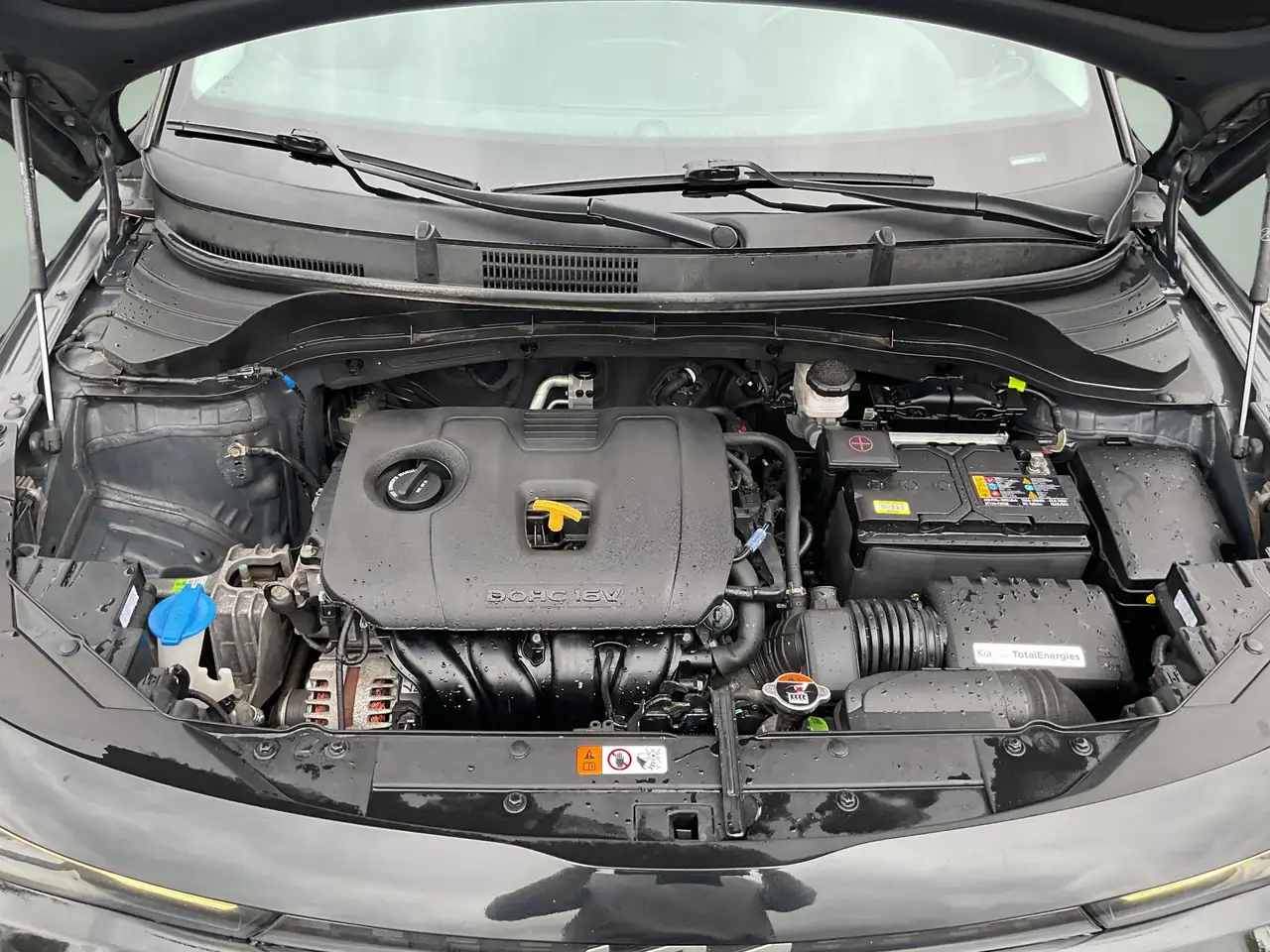 Kia Soul fotografie Kia Soul