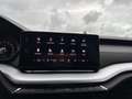 Skoda Octavia Combi 2,0 TDI Ambition Clever Schwarz - thumbnail 19