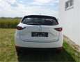 Mazda CX-5 G165 Ambition Aut. Weiß - thumbnail 5