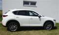 Mazda CX-5 G165 Ambition Aut. Weiß - thumbnail 9