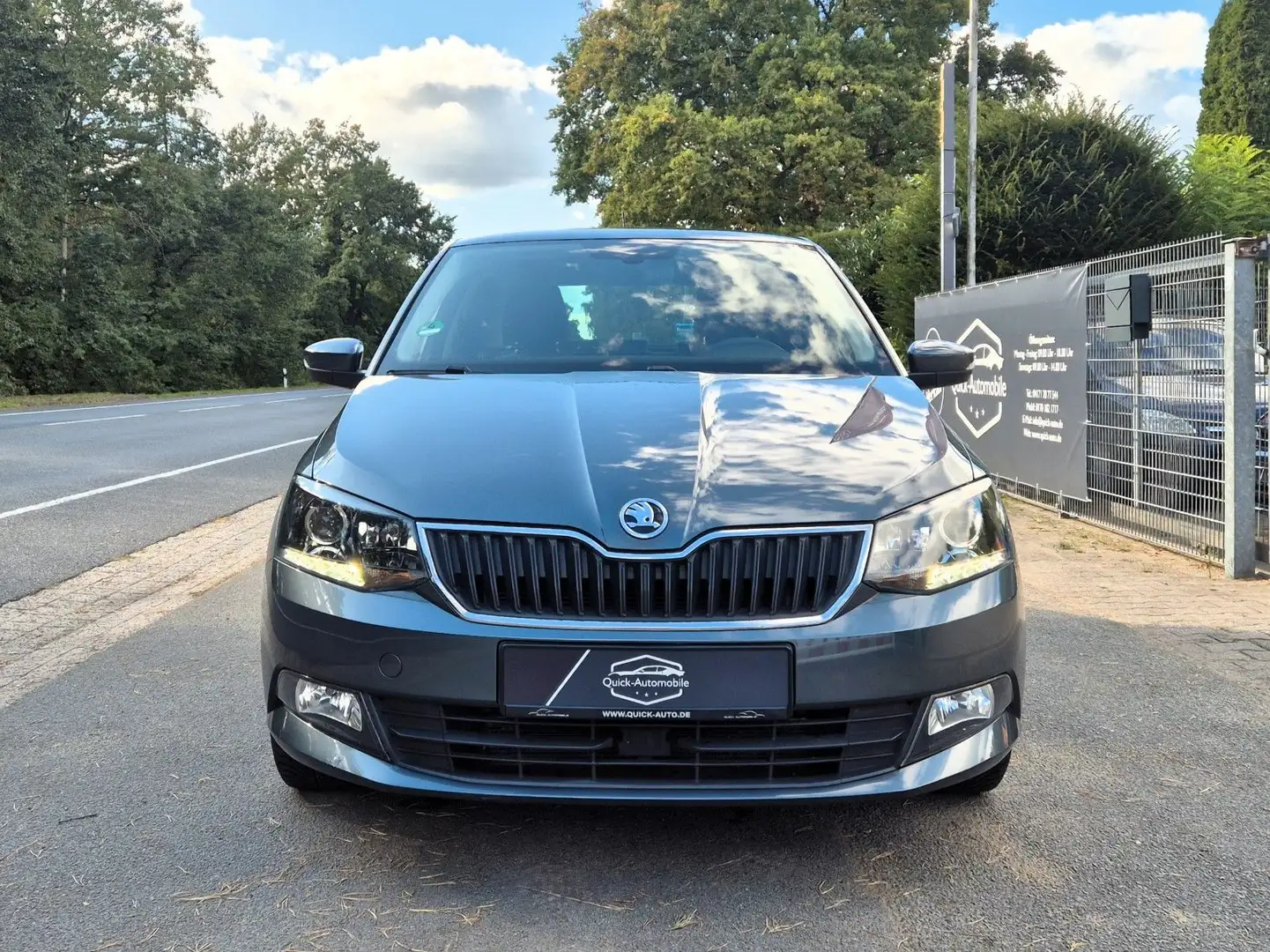 Skoda Fabia Ambition Green Automatik |Klima|Sitzhzg| Gris - 2