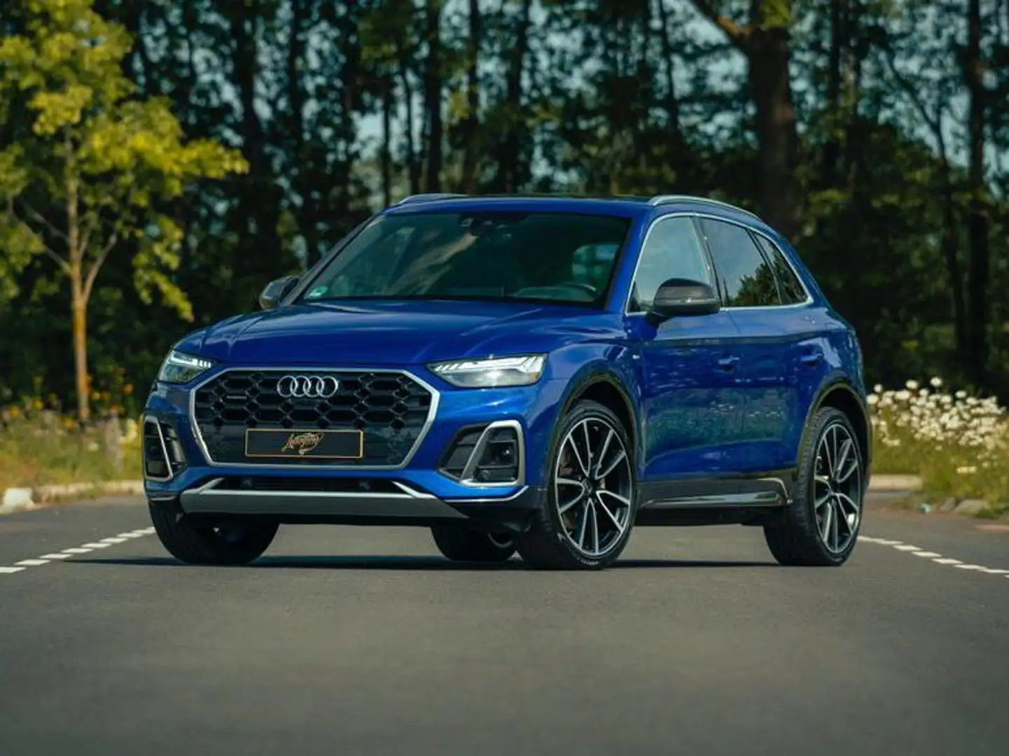 Audi Q5 55 TFSI e S-Line, Pano, B&O, el.Trekhaak, heads-up Blauw - 1