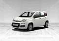 Fiat Panda Panda 1.0 FireFly S&S Hybrid Pop - thumbnail 16