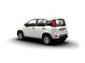Fiat Panda Panda 1.0 FireFly S&S Hybrid Pop - thumbnail 3