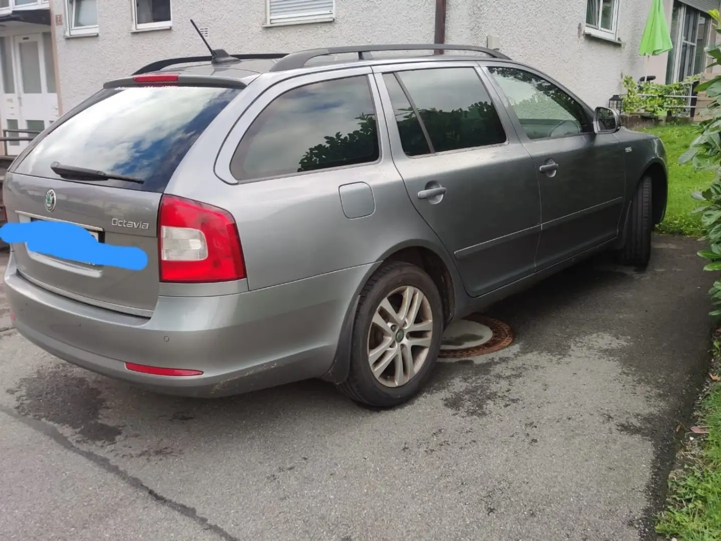 Skoda Octavia Family Grau - 2