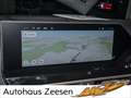 Citroen C4 Hybrid 145 Max KAMERA NAVI ACC LED 360° Grau - thumbnail 8