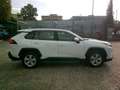 Toyota RAV 4 Rav4  2.5 Hybrid cvt Business*PREZZO VERO* Bianco - thumbnail 5