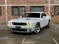 Dodge Challenger 3.6 V6 Wit - thumbnail 3