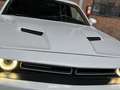 Dodge Challenger 3.6 V6 Wit - thumbnail 8