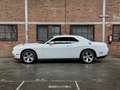 Dodge Challenger 3.6 V6 Wit - thumbnail 21