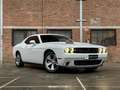 Dodge Challenger 3.6 V6 Wit - thumbnail 9