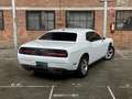 Dodge Challenger 3.6 V6 Wit - thumbnail 15