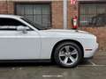 Dodge Challenger 3.6 V6 Wit - thumbnail 13