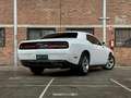 Dodge Challenger 3.6 V6 Wit - thumbnail 14