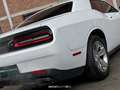 Dodge Challenger 3.6 V6 Wit - thumbnail 16