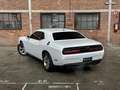 Dodge Challenger 3.6 V6 Wit - thumbnail 20