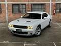 Dodge Challenger 3.6 V6 Wit - thumbnail 5