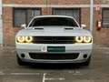 Dodge Challenger 3.6 V6 Wit - thumbnail 6