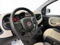 Fiat Panda 1.2 easypower Pop Gpl 69cv E6 Argento - thumbnail 11