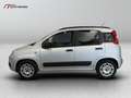 Fiat Panda 1.2 easypower Pop Gpl 69cv E6 Argento - thumbnail 3