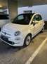 Fiat 500 FireFly Hybrid 70 Dolcevita Weiß - thumbnail 2