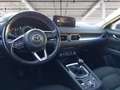 Mazda CX-5 2.0 Business Pack 2wd 165cv Grau - thumbnail 12