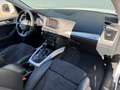 Audi Q5 Q5 2.0 TDI 177 Quattro Avus S tronic 7 - thumbnail 14