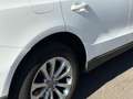 Audi Q5 Q5 2.0 TDI 177 Quattro Avus S tronic 7 - thumbnail 12