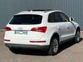Audi Q5 Q5 2.0 TDI 177 Quattro Avus S tronic 7 - thumbnail 3