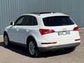 Audi Q5 Q5 2.0 TDI 177 Quattro Avus S tronic 7 - thumbnail 4