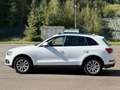 Audi Q5 Q5 2.0 TDI 177 Quattro Avus S tronic 7 - thumbnail 10
