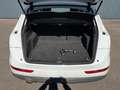 Audi Q5 Q5 2.0 TDI 177 Quattro Avus S tronic 7 - thumbnail 16