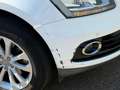 Audi Q5 Q5 2.0 TDI 177 Quattro Avus S tronic 7 - thumbnail 21