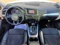 Audi Q5 Q5 2.0 TDI 177 Quattro Avus S tronic 7 - thumbnail 15