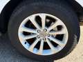 Audi Q5 Q5 2.0 TDI 177 Quattro Avus S tronic 7 - thumbnail 23