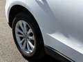Audi Q5 Q5 2.0 TDI 177 Quattro Avus S tronic 7 - thumbnail 6